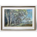 David Iredale - Country Landscape- signed, watercolour, framed & glazed, 42x69cm, together with