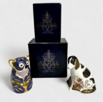 Two Royal Crown Derby porcelain paperweights, 'Molly' Collectors Guild 2007, and Koala Bear, gold