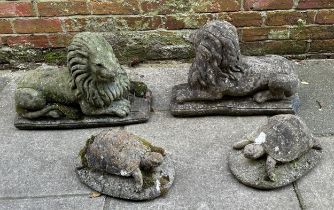A pair of reconstituted stone recumbant lions, nicely weathered with good lichen growth, 51x38cm,