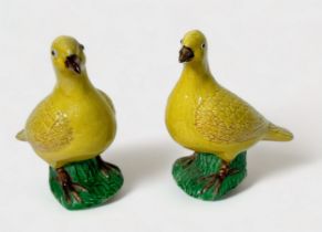 A pair of Chinese Porcelain birds, decorated in Wucai colours with yellow, green and brown glazes,