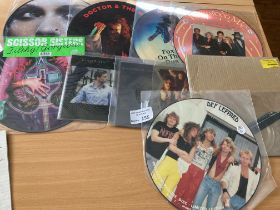 Records : 12'' Picture discs - collectables lot in