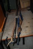 A shepherds crook and a walking stick.