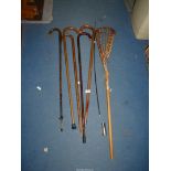 A Lacrosse stick, 43'' long, five walking sticks, etc.