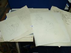 A folder of artworks including figure drawings and anatomical studies.