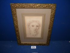 A framed, mounted and glazed Print of a finely detailed drawing of a classical lady,