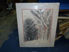 A mounted pastel drawing depicting two trees titled 'The Winged Feel of Mercury', signed 'K.P.
