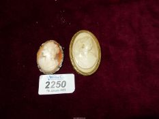 Two Cameo brooches.