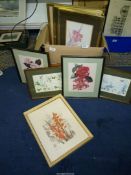 A quantity of framed floral Prints.
