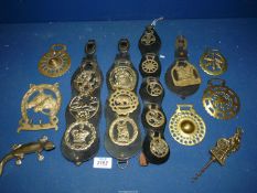 Fifteen horse brasses including some on martingales, novelty Lizard corkscrew, etc.