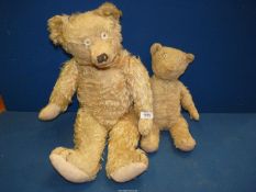 Two old well loved jointed teddy bears, 16" and 24" tall.