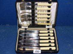 A cased set of fish knives and forks with bone handles.
