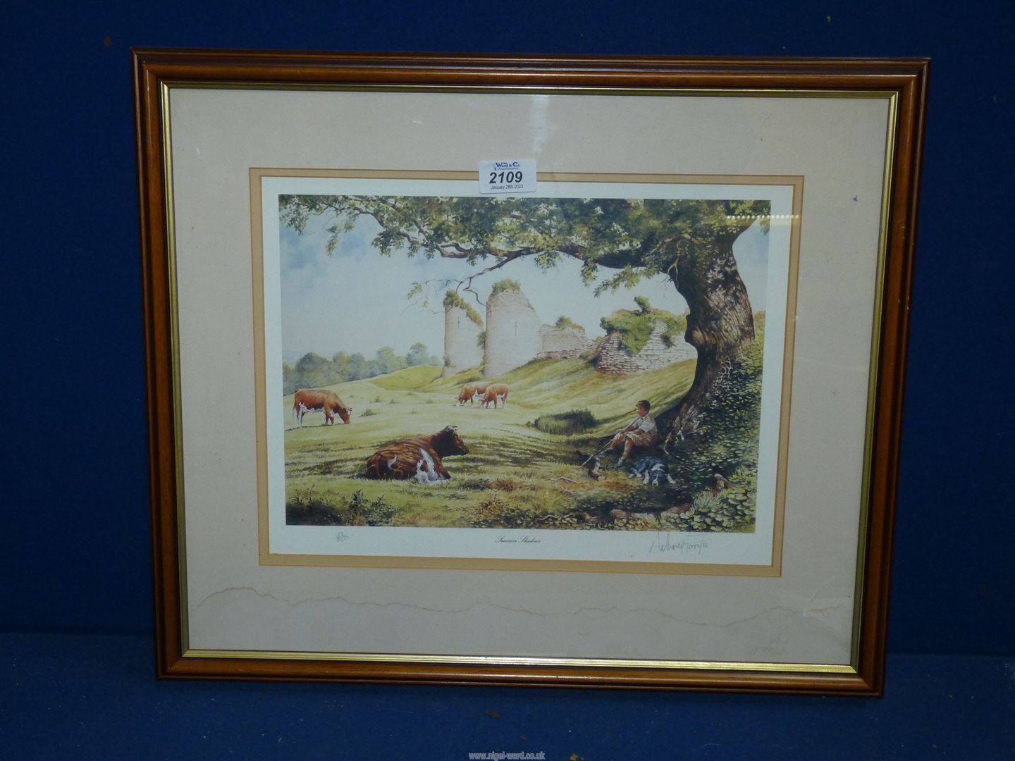A framed and mounted limited edition Print titled 'Summer Shadows' no 23/850 by Anthony Forster,