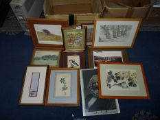 A quantity of Prints and Etchings to include 'Middle Spotted Woodpecker' engraving from the work of