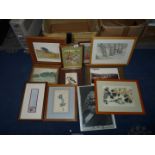 A quantity of Prints and Etchings to include 'Middle Spotted Woodpecker' engraving from the work of
