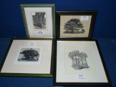 Four framed and mounted Etchings to include 'Salter's Tree' no 15/50,