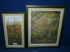 Two framed and mounted limited edition Prints to include 'Buttercups and Meadow grass, Llanfrynach,