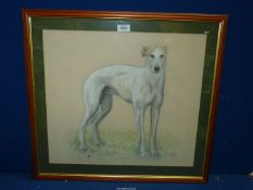 A large framed and mounted pastel drawing of a Greyhound, signed and dated Misha '93, 24 3/4" x 23".