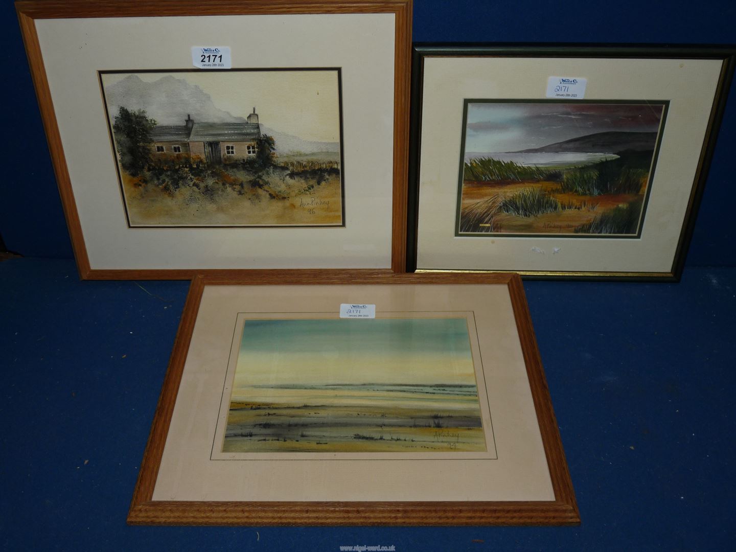 Three framed and mounted Watercolours signed by the artist Ann Pinney, 'A Welsh Cottage',