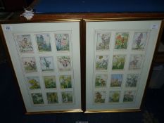 A pair of framed and mounted Prints depicting The Alphabet in Fairy Pictures naming flowers,