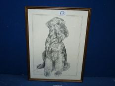 A Pollyanna Pickering print of an Airedale Terrier.