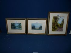 Three framed Pamela Derry prints including Sunlit Silence, Wind & Son, etc.
