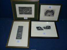 Four framed and mounted limited edition Etchings to include Palm Fronds no 21/50,