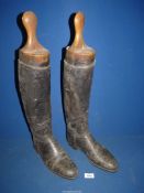 A pair of Gents Black knee high Riding boots, length of sole 11" having a pair of wooden trees.