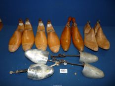 A box of miscellaneous tree shoes 'Wildsmith, London',