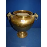 A large Brass Urn with ornate elephant handles, 14 1/2" tall x 15" wide.