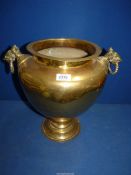 A large Brass Urn with ornate elephant handles, 14 1/2" tall x 15" wide.