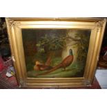 A gilded framed Oil painting, lined, depicting a hen and a cock pheasant amidst foliage,