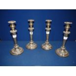 A set of four plated Candlesticks, 11 1/2" tall.