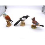Three Beswick birds including Magpie, Bird of Prey, Jay ( beak chipped and repaired),