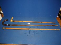 A bamboo walking Stick with horn handle, a walking stick with silver collar and another.