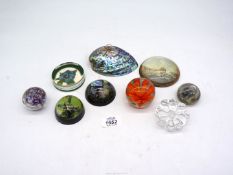 A quantity of Paperweights including New Zealand Paua shell, Guernsey, and floral (9).