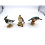 Three Beswick birds including King Fisher (chipped beak), Lapwing and Thrush, all approx.