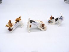 Three Royal Doulton figures of Jack Russell puppies, one chewing a slipper,