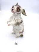 A 19th century porcelain figure of a Pomeranian dog standing on its hind legs, 10'' tall.