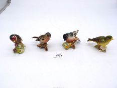 Four Beswick finches: Greenfinch, Goldfinch, Chaffinch and Bullfinch, 3" tall approx.