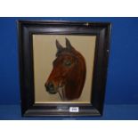 A wooden framed oil on board of a horse 'Matton', signed lower right Jeni Vidler,