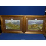 A pair of framed and mounted Highland Cattle scenes, signed Douglas Cameron, 21 1/4'' x 17 1/4''.