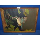 A framed oil on canvas labelled verso 'Woodland Kingfisher Africa 1981 initialled lower right W.