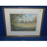 A framed and mounted pastel, title verso 'Devon Reds', signed lower right P.