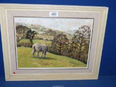 A framed oil on board of a grey horse grazing and rolling hills in the distance,