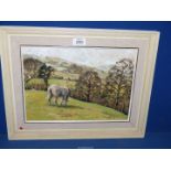 A framed oil on board of a grey horse grazing and rolling hills in the distance,