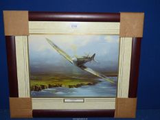 A framed print by Barry Price 'Coastal Patrol Spitfire'.