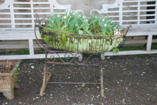 Wrought iron swinging Cradle re-purposed as hanging planter with tulips,