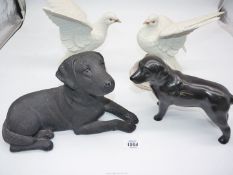 A pair of china white doves by Andrea Sandcast of a black Labrador, a Coopercraft black Labrador.
