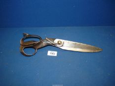 A large pair of Tailor's Scissors, handle to tip 13" and blades only 6 1/2" (approximately).