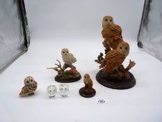 A small quantity of Owl figures including Country Artist Barn and Snowy owl, Swarovski style, etc.